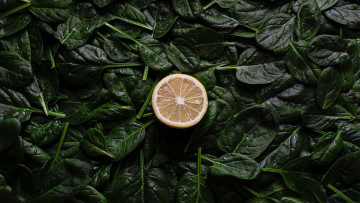 Картинка еда фрукты+и+овощи+вместе лимон шпинат