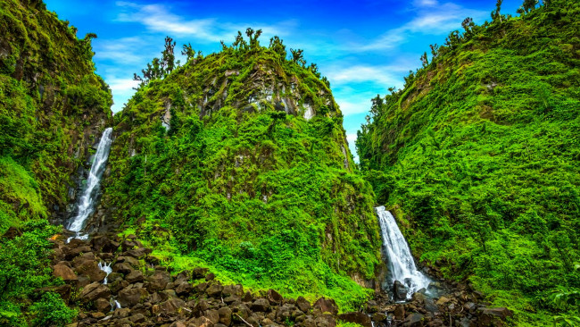 Обои картинки фото trafalgar falls, dominica, природа, водопады, trafalgar, falls