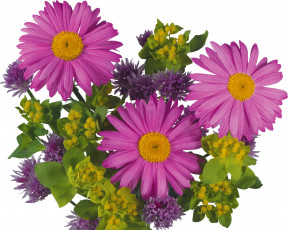 Картинка цветы букеты композиции зеленый сиреневый розовый