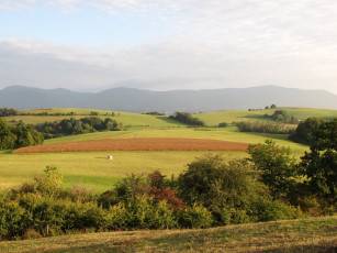 Картинка Чехия kozlovice природа поля