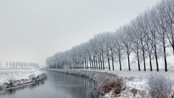 Картинка природа зима деревья канал поле