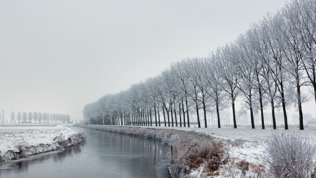Обои картинки фото природа, зима, деревья, канал, поле