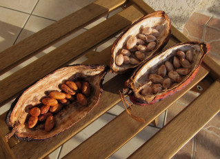 Картинка еда разное просушка какао-бобы