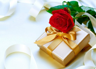 обоя праздничные, подарки и коробочки, роза, алый, подарок, лента, бант