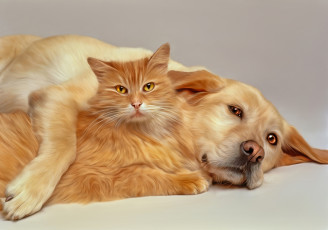 Картинка рисованные животные кошка собака