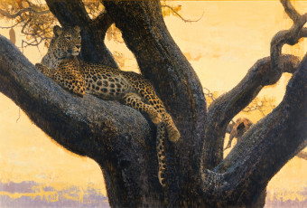 Картинка рисованные bob+kuhn дикая кошка леопард bob kuhn пятна хищник дерево ветка отдых