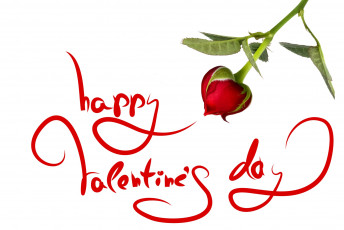 Картинка праздничные день+святого+валентина +сердечки +любовь бутон надпись