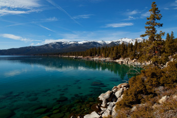 обоя озеро  tahoe невада, природа, реки, озера, tahoe, озеро, побережье, лес, невада