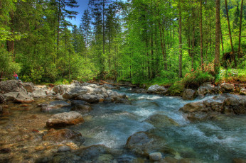 Картинка германия+бавария природа реки озера камни ручей лес бавария германия