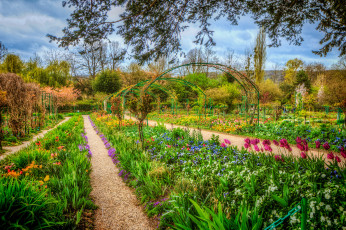 Картинка природа парк цветы клумбы кустарник