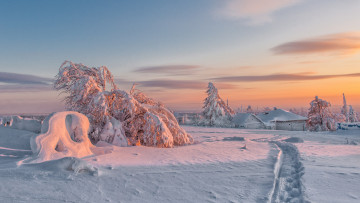 Картинка природа зима снег закат деревья тропинка