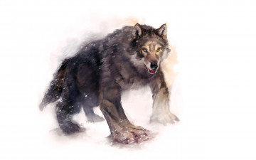 обоя волк, фэнтези, существа, werewolf, оборотень