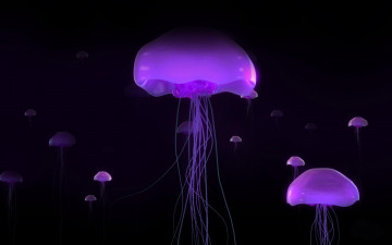 Картинка 3д+графика животные+ animals черный фон свечение медузы
