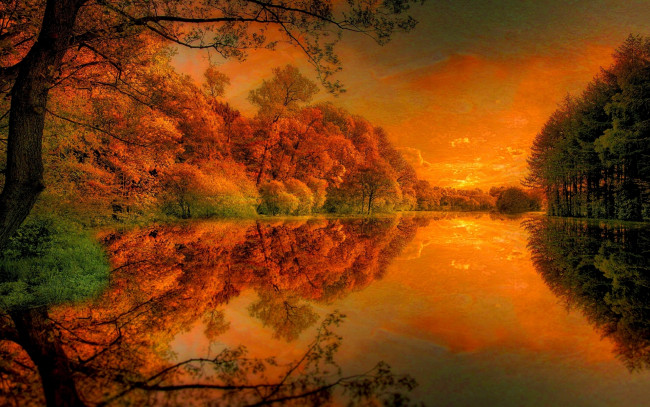Обои картинки фото разное, компьютерный дизайн, деревья, осень, река, обработка