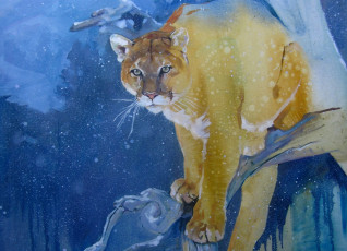 Картинка рисованное животные +пумы пума зима снег хищник дерево