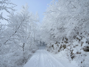 Картинка природа дороги снег деревья дорога