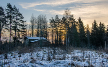 Картинка природа лес снег домик