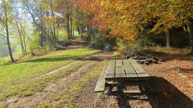 Обои картинки фото природа, другое, лес, дорога, столик, осень