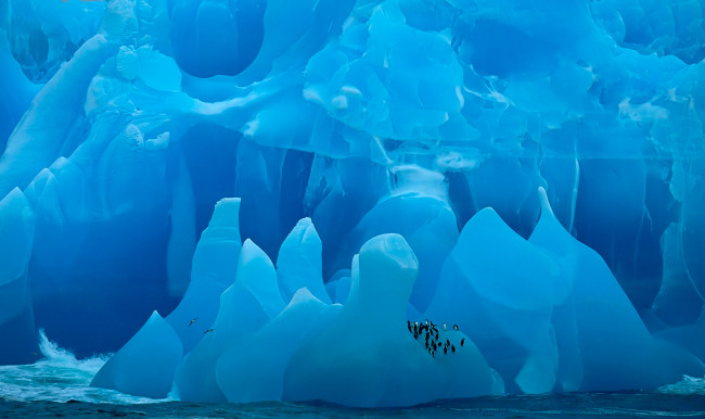 Обои картинки фото greenland, природа, айсберги и ледники, вода, лёд, снег, ледник, гренландия, айсберг