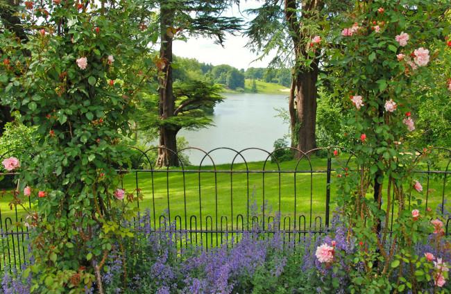 Обои картинки фото природа, парк, река, трава, oxfordshire, gardens, сад, цветы, великобритания, розы, кусты, деревья, изгородь, зелень