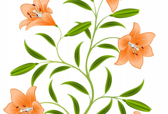 Картинка векторная+графика цветы+ flowers лепестки цветок