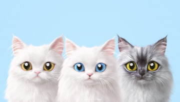 Картинка рисованное животные +коты кошки