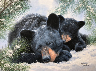 Картинка рисованное животные +медведи медведи