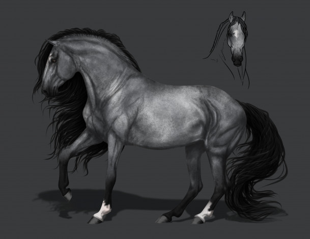 Обои картинки фото рисованное, животные,  лошади, конь, фон, грива
