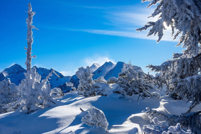 Обои картинки фото природа, зима, ели, тени, штирия, сугробы, альпы, австрия, горы, деревья, пейзаж, снег