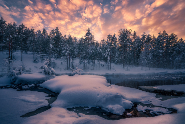Обои картинки фото природа, зима, лес, снег, деревья, река, норвегия, сугробы, norway, рингерике