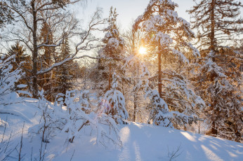 Картинка природа зима сугробы