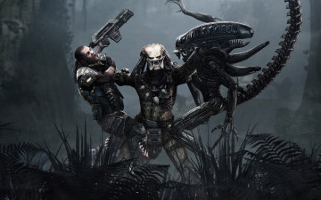 Картинка aliens vs predator видео игры