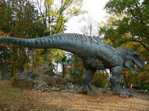 Картинка разное рельефы статуи музейные экспонаты тираннозавр