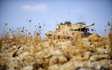 Картинка танк на поле техника военная