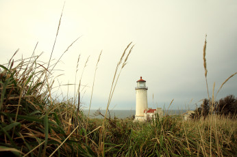 Картинка природа маяки трава маяк луг побережье океан
