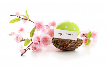 Картинка праздничные пасха цветы яйца весна pastel eggs пастель delicate blossom nest spring flowers pink easter happy