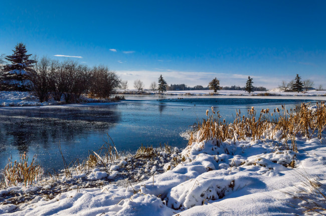 Обои картинки фото природа, зима, река, поле, трава, снег
