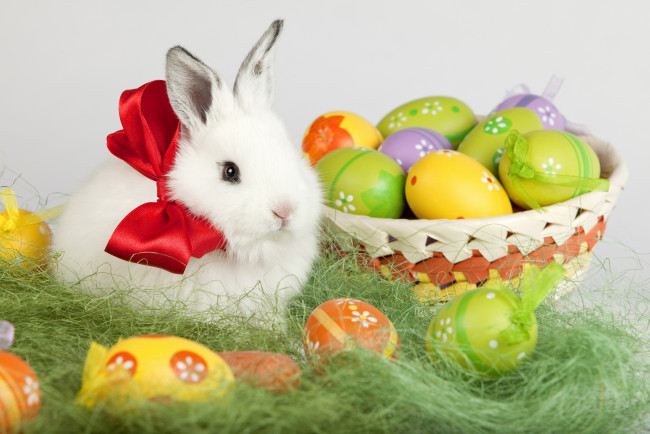 Обои картинки фото праздничные, пасха, травка, фон, зайка, праздник, яйца, корзинка