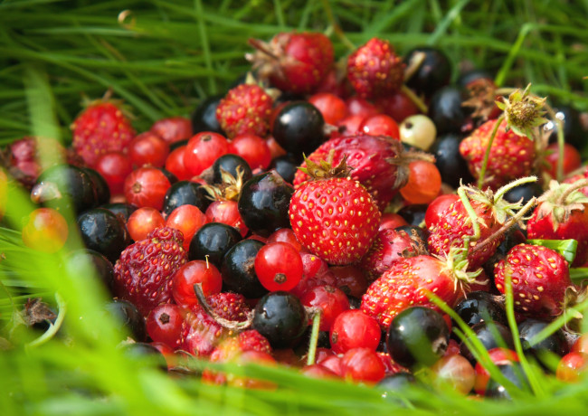 Обои картинки фото еда, фрукты,  ягоды, лето, смородина, клубника