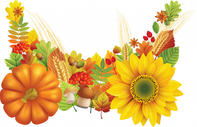 Обои картинки фото векторная графика, цветы, осень, желуди, рябина, подсолнух, тыква, колосья, шиповник, листья