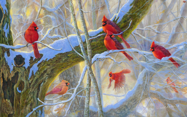 Обои картинки фото рисованное, животные,  птицы, птицы, дерево, ветки, снег, зима, стая, кардиналы