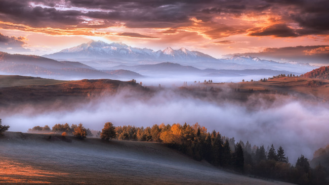 Обои картинки фото природа, восходы, закаты, горы, осень, карпаты, утро, туман