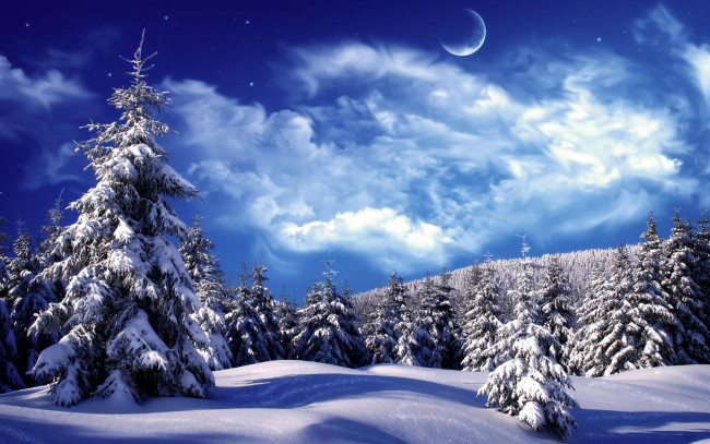Обои картинки фото природа, зима, вечер, ели, лес, тучи, звёзды, луна, небо, сугробы, снег