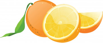 Картинка векторная+графика еда+ food апельсины фон
