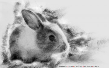 Картинка календари компьютерный+дизайн заяц кролик