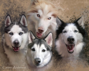 Картинка рисованные животные собаки собачки