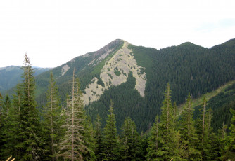 Картинка украина карпаты гора кози гори природа горы лес