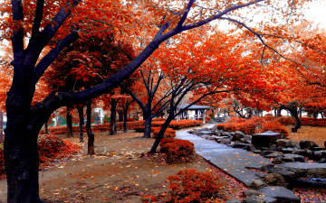 Картинка природа парк аллея беседка осень красная листва деревья