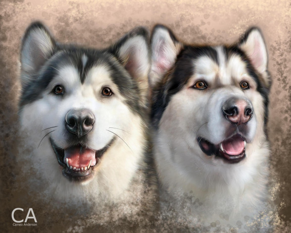Обои картинки фото рисованные, животные, собаки