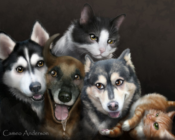 Обои картинки фото рисованные, животные, собаки, коты